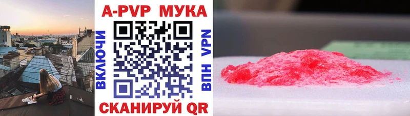 Альфа ПВП СК КРИС Железноводск