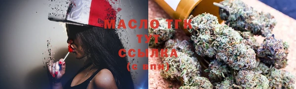 индика Белокуриха