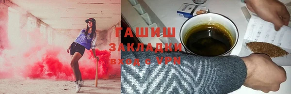 эйфоретик Бородино