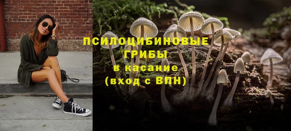 PSILOCYBIN Богородск