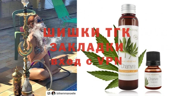 эйфоретик Бородино