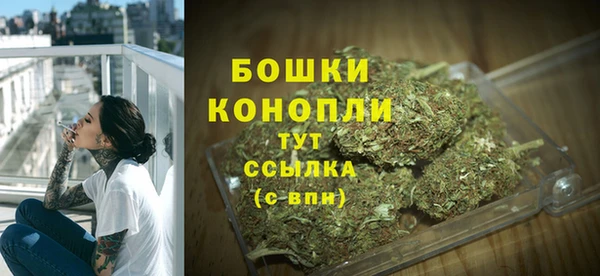 бошки Богданович