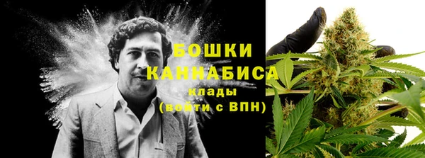 PSILOCYBIN Богородск