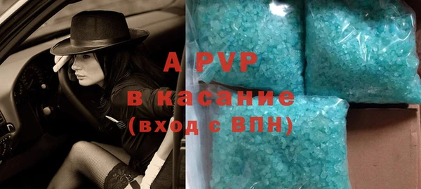 эйфоретик Бородино