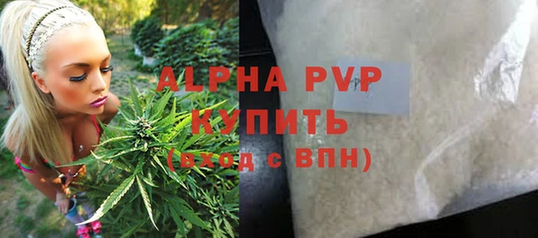 эйфоретик Бородино