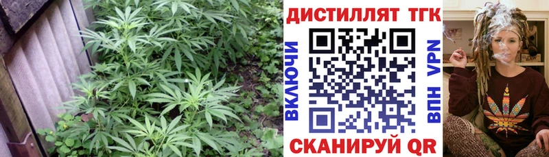 наркота  Железноводск  kraken рабочий сайт  Дистиллят ТГК концентрат 